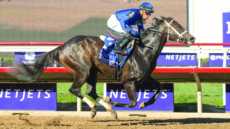 المهرة «إميرسيف» تطلب لقب «كوتشنغ كلوب أميركان أوكس»