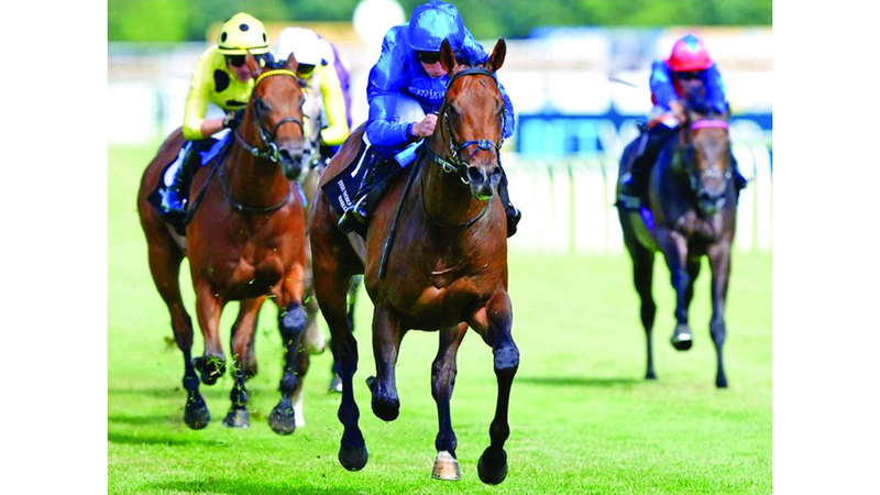 «وايز أبروتش» ينتزع لقب «روز باول ستيكس» البريطاني