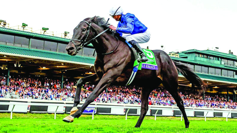 «ريبلز رومانس» يطلب لقب «كينغ جورج السادس والملكة إليزابيث ستيكس»