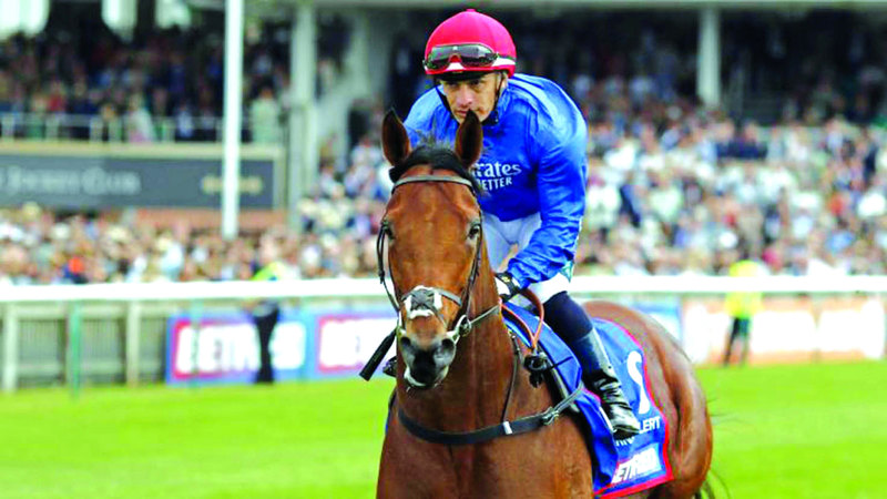 «تورنادو أليرت» ينشد لقب «غروسر دالماير برايس» الألماني