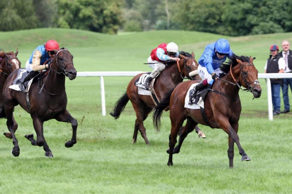 “تورنادو أليرت” ينتزع لقب سباق “غروسر دالماير برايس” الألماني