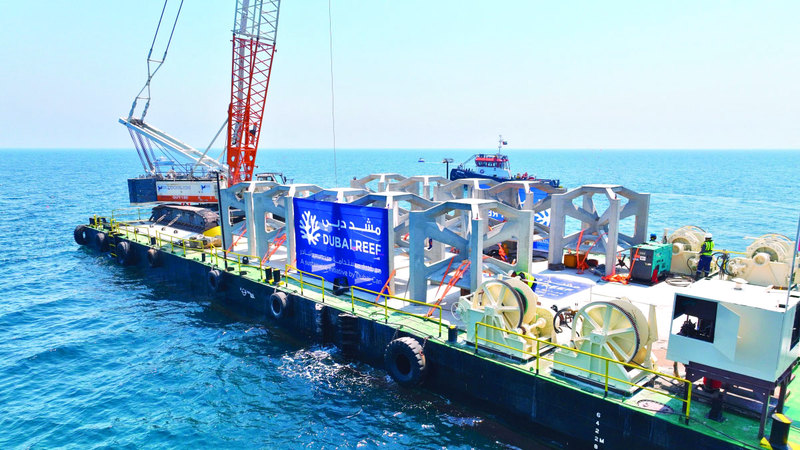 «مشـدّ دبـــي» يعلن زيادة كبيرة في أعداد 15 نوعاً من الأسماك المحلية