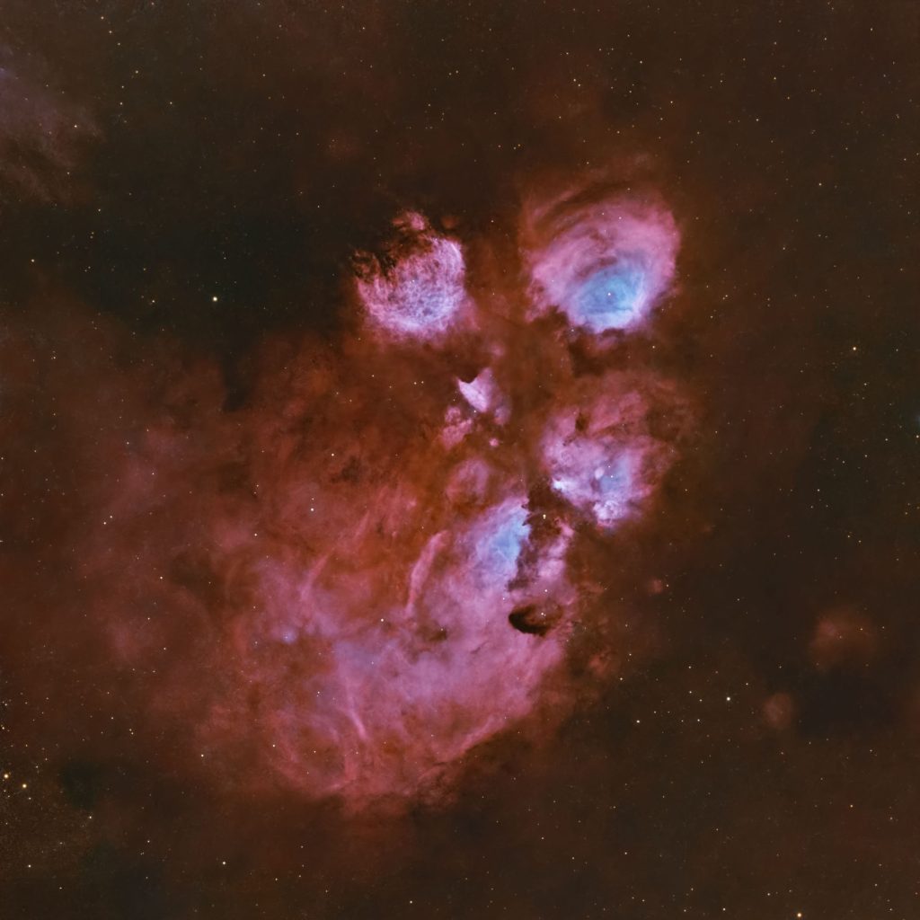 مرصد الختم يرصد “مخلب القط” من صحراء أبوظبي