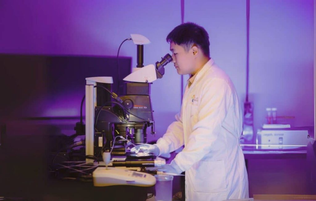 كيف توظّف “كاوست” الذكاء الاصطناعي لدراسة تطور الأجنة البشرية؟