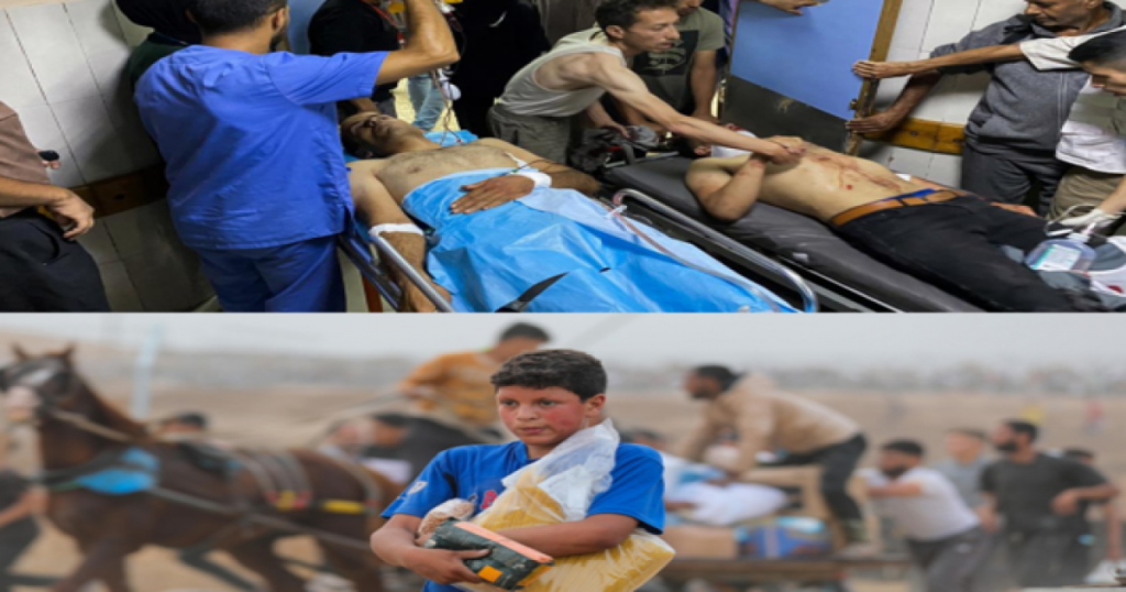 المساعدات الأمريكية… مصائد الموت ومعركة البقاء