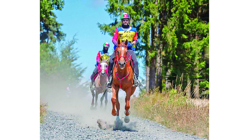 الإمارات بطلة «الفردي والفِرَق» في بطولة العالم للقدرة بفرنسا