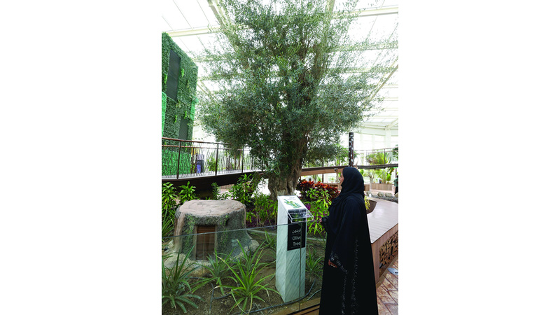 الحديقة القرآنية وجهة للتسامح والانفتاح