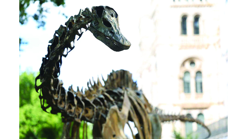 «رحلات الاكتشاف».. جديد مشروع «كلمة» للترجمة