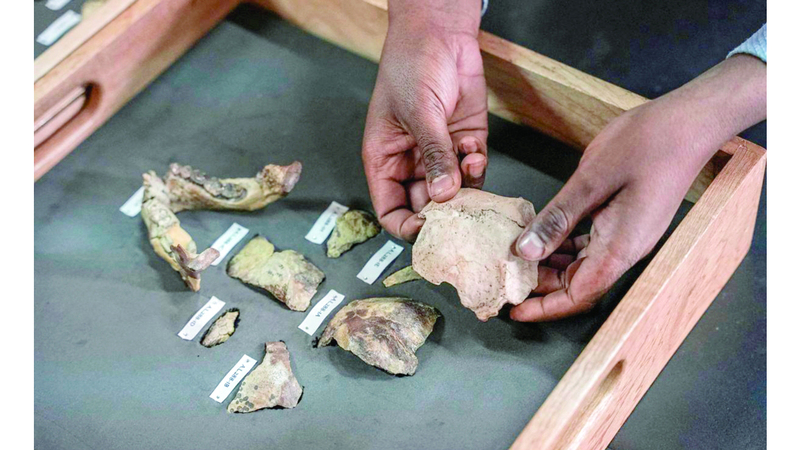 «عمة البشرية لوسي» في براغ لـ 60 يوماً