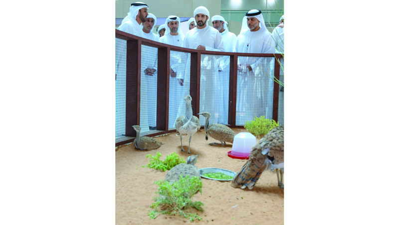 حمدان بن محمد: «أبوظبي للصيد والفروسية» رسالة إماراتية أصيلة إلى العالم