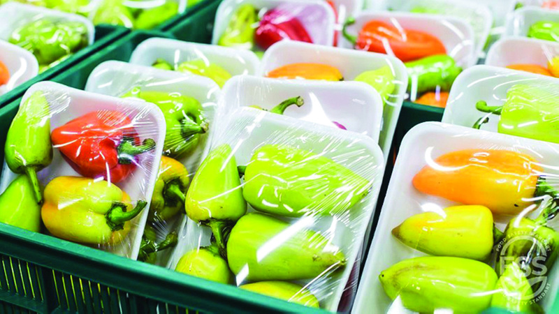 ابتكار مركب حيوي للتغليف لإطالة عمر المنتجات الغذائية والأدوية