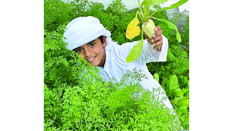 مصلح العرياني.. طفل إماراتي يحوّل منزله إلى «مختبر أخضر»