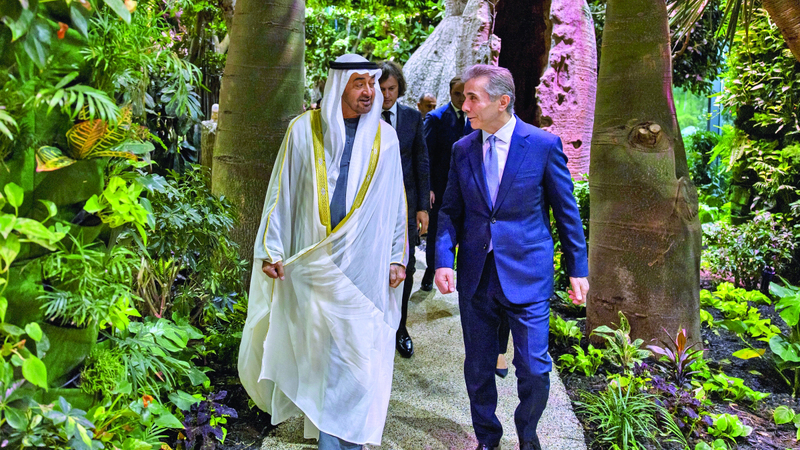 رئيس الدولة يلتقي الرئيس الفخري لـ «حزب الحلم الجورجي» الحاكم