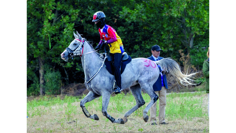 راشد المهيري بطل سباق التحمل في بطولة الاتحاد الدولي