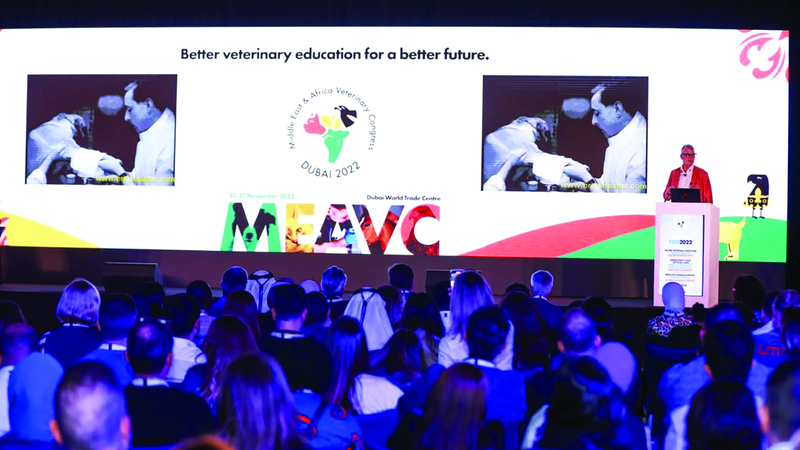 دبي تستضيف المؤتمر البيطري للشرق الأوسط وإفريقيا