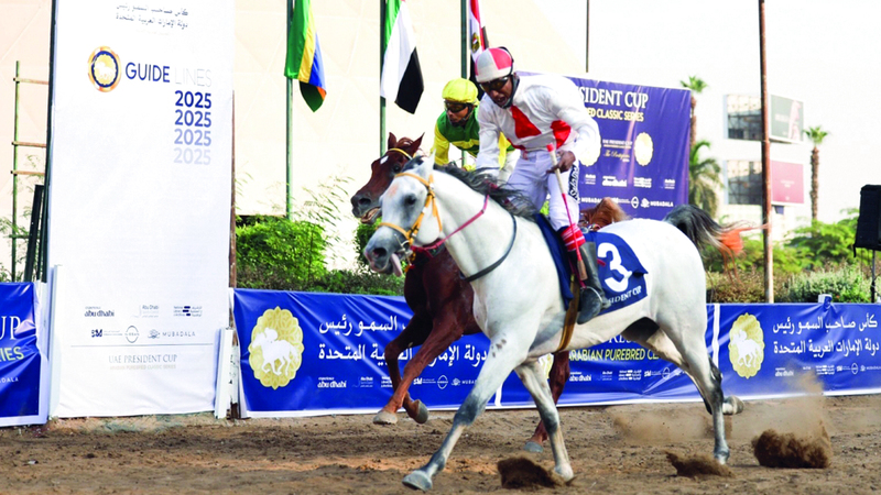 الجواد «فهد الأمين» بطل كأس رئيس الدولة للخيول العربية في مصر