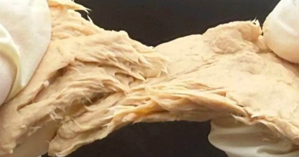 بديل اللحوم.. تعديل فطر غذائي ليصبح ألذ طعماً وأكثر بروتيناً