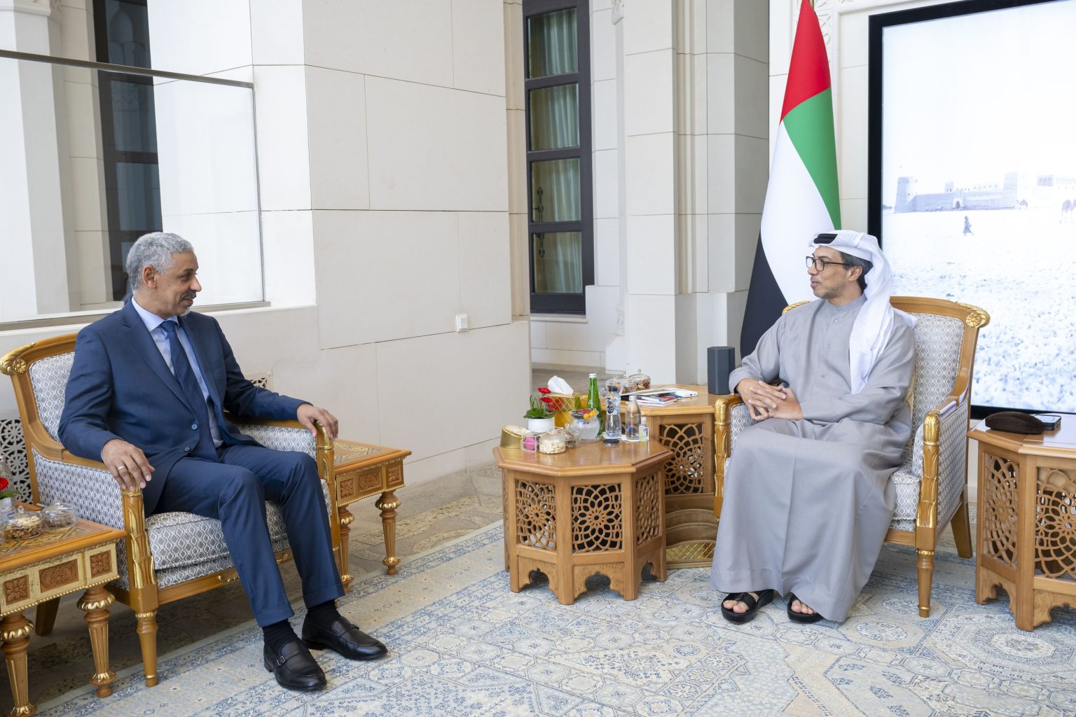 منصور بن زايد يؤكد حرص الإمارات على دعم الجهود التنموية في إفريقيا