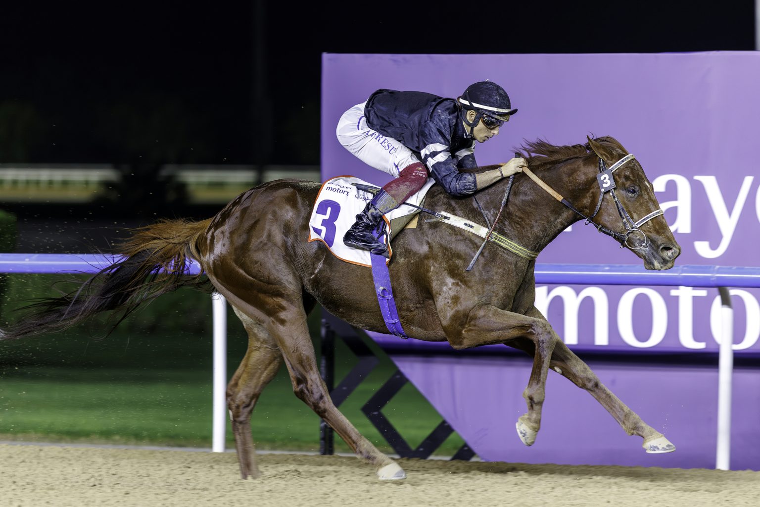 «النصيب» يتوج بطلاً لسباق «القرهود سبرينت» في «ميدان»
