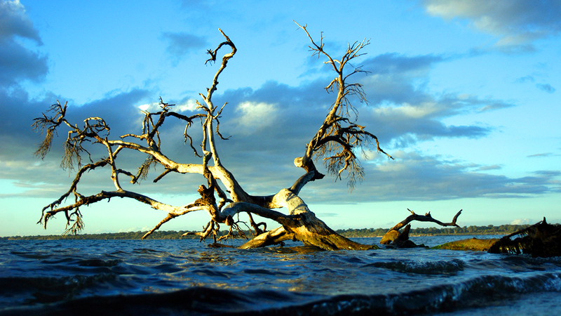 راشد البلوشي.. عدسة تقتنص اللحظات النادرة