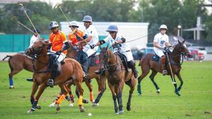 «نون» يتحدى «بهنسالي» في احتفالية دوري الحبتور للبولو