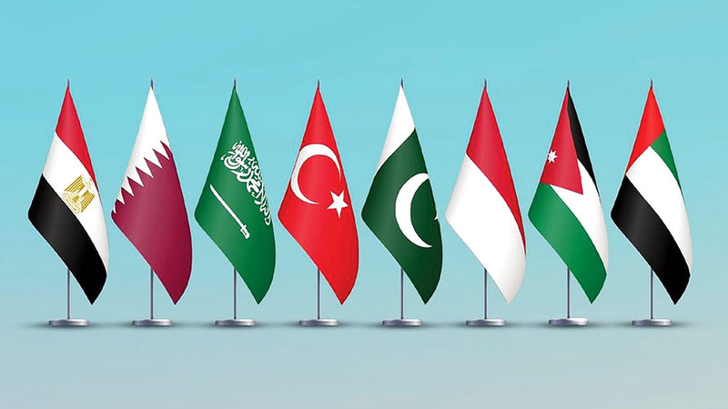 الإمارات و7 دول عربية وإسلامية تطالب بإدخال فوري للمساعدات الإنسانية إلى غزة