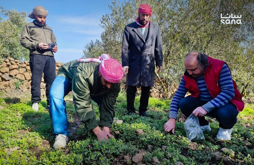 للمرة الثانية.. الطيران الإسرائيلي يرش مواد مجهولة على أراض في جنوب سورية